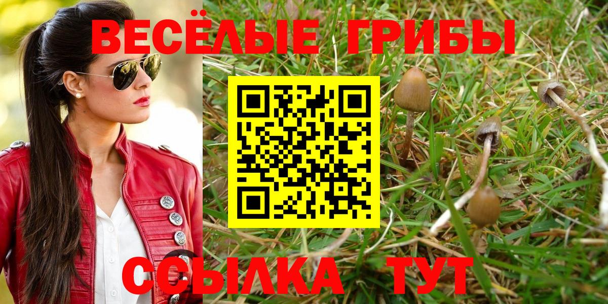 Галлюциногенные грибы мухоморы  Вход с VPN  Галлюциногенные грибы Psilocybine cubensis  Магнитогорск 