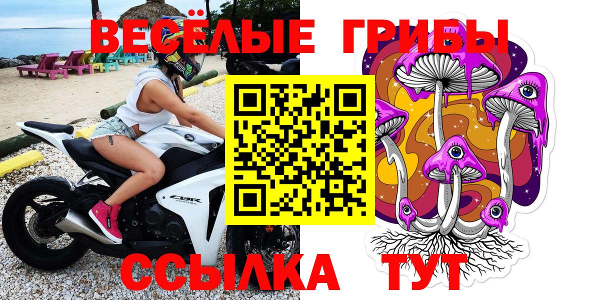 Псилоцибиновые грибы мицелий Магнитогорск